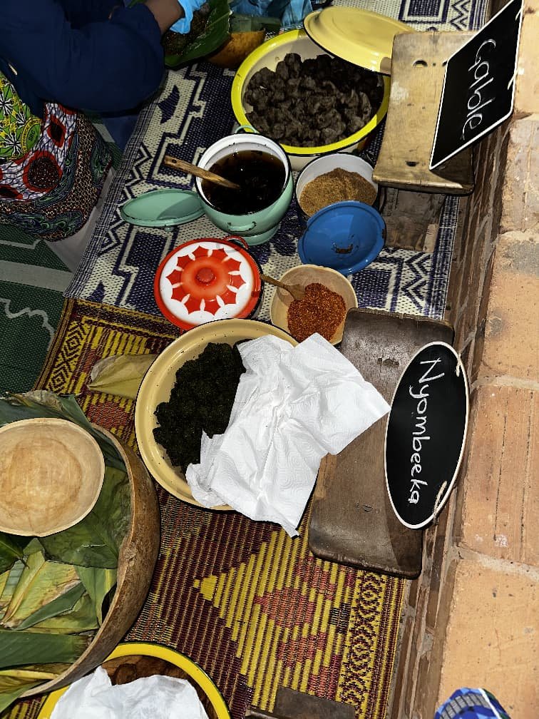 An array of labeled traditional spices and ingredients from Duduhgu's research archive in Tamale